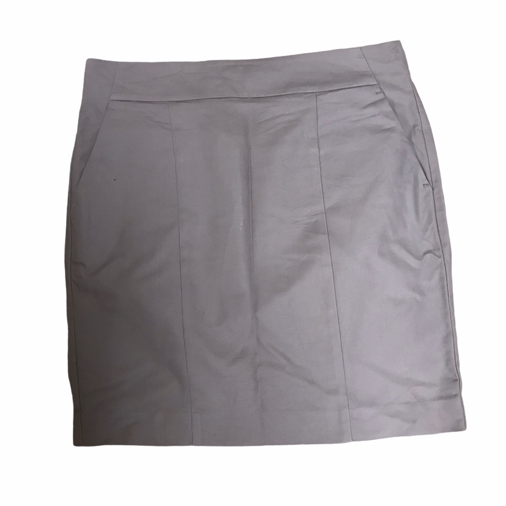 Ann Taylor Skirt